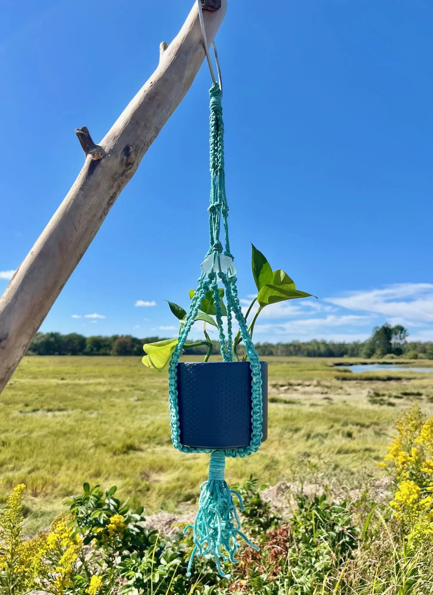 Teal rope plant hanger on driftwood over a salt marsh